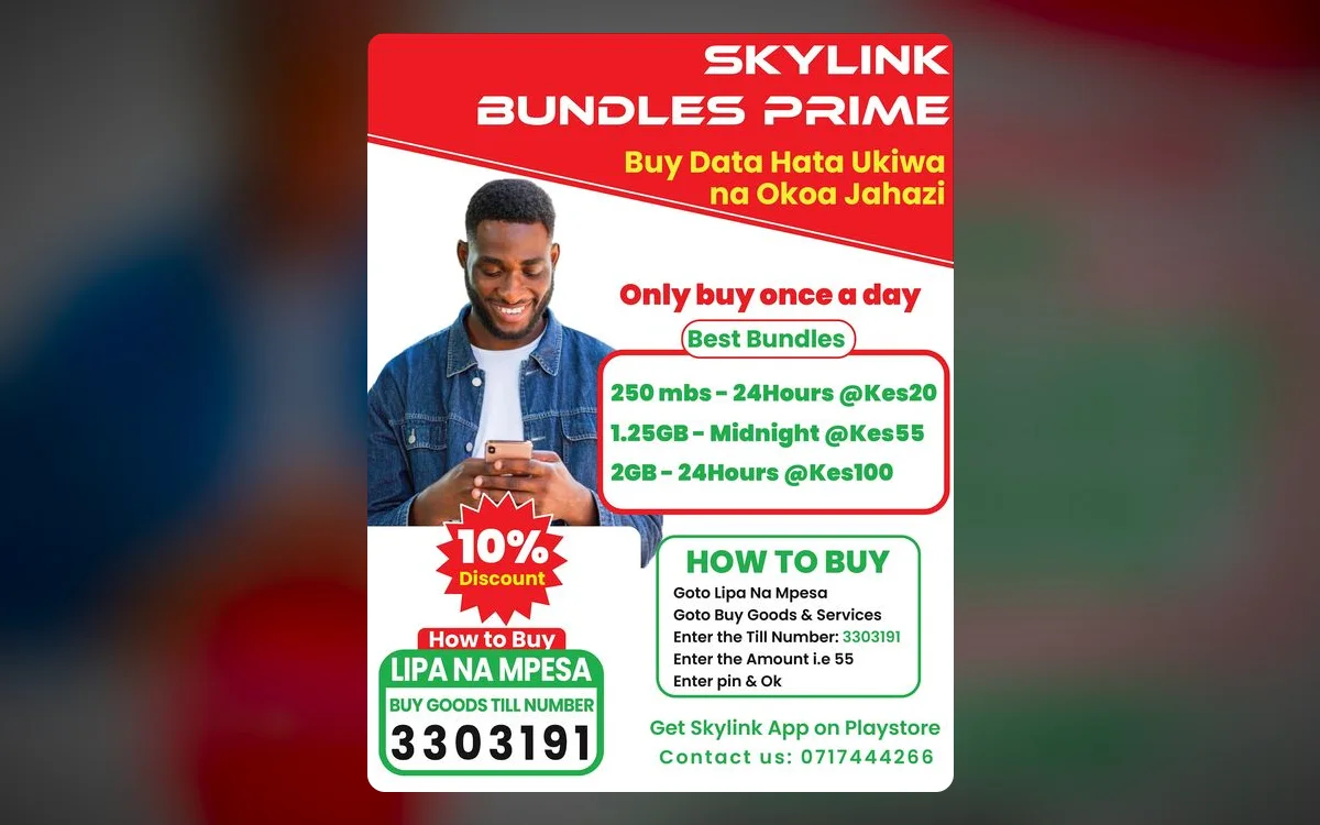 Skylink Bundles Prime — A three-offer poster built for people who will not read twenty.